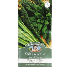 Load image into Gallery viewer, Kale - Dwarf Green Curled Seeds, Mr Fothergill's