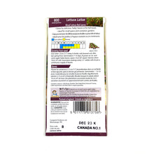 Load image into Gallery viewer, Lettuce - Red Leaves Mix Seeds, Mr Fothergill's - Floral Acres Greenhouse & Garden Centre