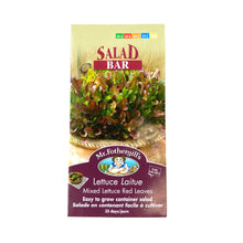 Load image into Gallery viewer, Lettuce - Red Leaves Mix Seeds, Mr Fothergill's - Floral Acres Greenhouse & Garden Centre