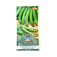 Load image into Gallery viewer, Pea - Lincoln Homesteader Seeds, Mr Fothergill's - Floral Acres Greenhouse & Garden Centre
