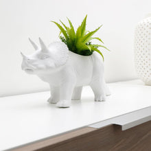 Load image into Gallery viewer, Planter, Tricerapot - Floral Acres Greenhouse & Garden Centre