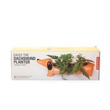 Load image into Gallery viewer, Planter, Daisy the Dachshund - Floral Acres Greenhouse & Garden Centre