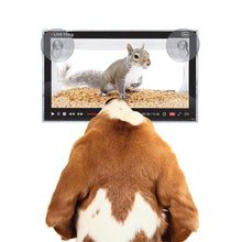 Load image into Gallery viewer, Live Feed Window-Mounted Bird Feeder - Floral Acres Greenhouse & Garden Centre