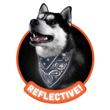 Load image into Gallery viewer, Reflective Dog Bandana, Navy, Small - Floral Acres Greenhouse & Garden Centre