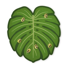 Load image into Gallery viewer, Monstera Leaf & Beetle Corkboard/Push Pin Set - Floral Acres Greenhouse & Garden Centre