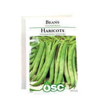 Load image into Gallery viewer, Bean Bush - Tendergreen Seeds, OSC