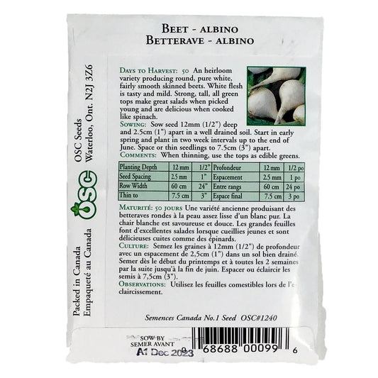Beetroot - Albino Seeds, OSC
