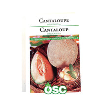 Load image into Gallery viewer, Cantaloupe - Delicious 51 Seeds, OSC
