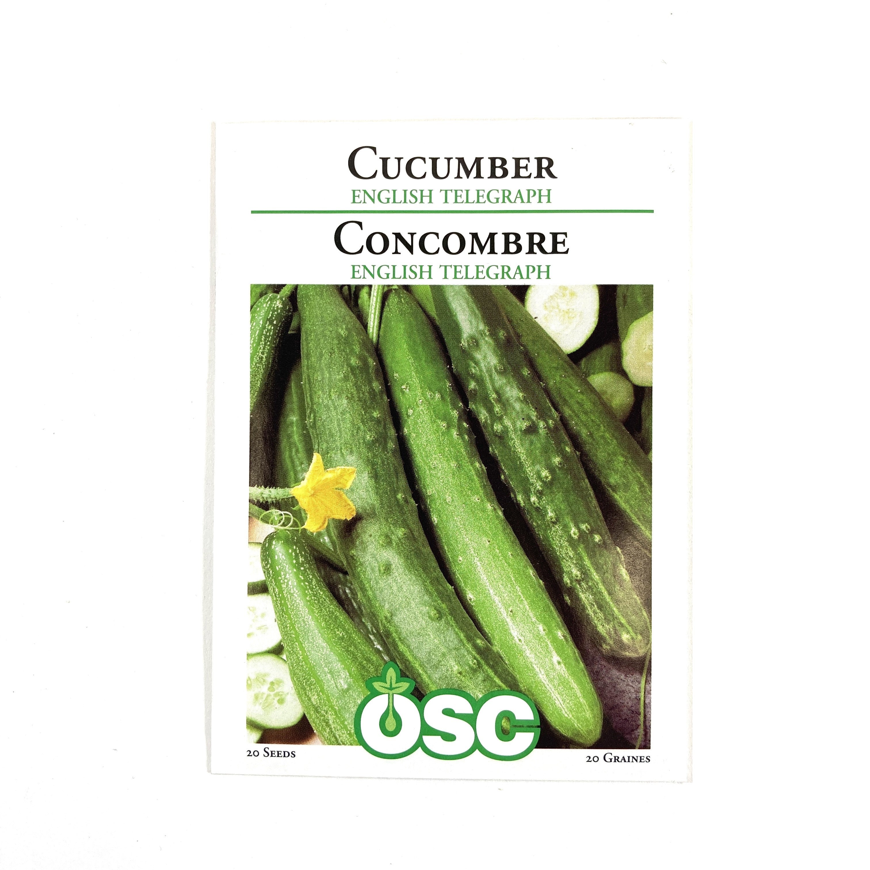 English Cucumber - Telegraph Improved - 20 Seeds