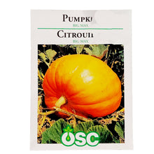 Load image into Gallery viewer, Pumpkin - Big Max Seeds, OSC