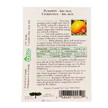 Load image into Gallery viewer, Pumpkin - Big Max Seeds, OSC