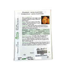 Load image into Gallery viewer, Pumpkin - Jack O Lantern Seeds, OSC