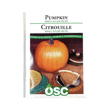 Load image into Gallery viewer, Pumpkin - Small Sugar Seeds, OSC