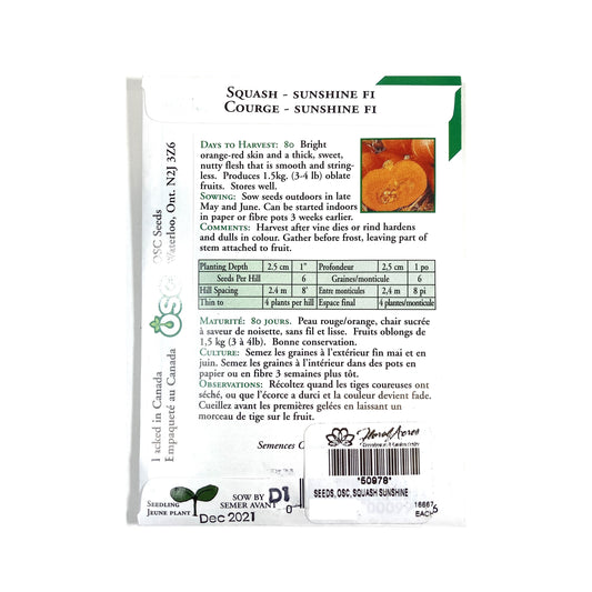 Squash - Sunshine Hybrid Seeds, OSC