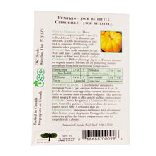 Load image into Gallery viewer, Pumpkin - Jack-Be-Little Miniature Seeds, OSC