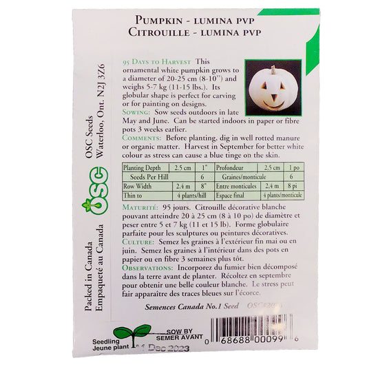 Pumpkin - Lumina Seeds, OSC