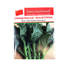 Load image into Gallery viewer, Broccoli - Chinese Blue Jade Seeds, Aimers Int'l - Floral Acres Greenhouse & Garden Centre
