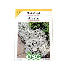 Load image into Gallery viewer, Alyssum - Carpet of Snow Seeds, OSC