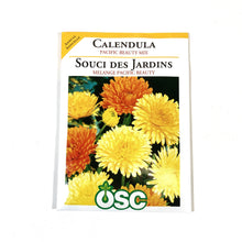 Load image into Gallery viewer, Calendula - Pacific Beauty Seeds, OSC