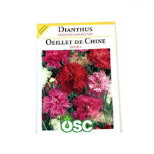Load image into Gallery viewer, Dianthus - Double Mixed Seeds, OSC