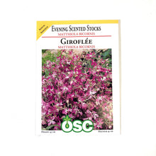 Load image into Gallery viewer, Stock - Evening Scented Seeds, OSC
