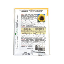 Load image into Gallery viewer, Sunflower - Large Grey Striped Seeds, OSC