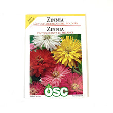 Load image into Gallery viewer, Zinnia - Cactus Flowered Hybrid Mixture Seeds, OSC