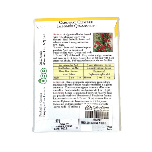 Cardinal Climber Seeds, OSC