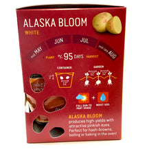 Load image into Gallery viewer, Seed Potato - Alaska Bloom, Earth Apples, 1kg Box - Floral Acres Greenhouse & Garden Centre