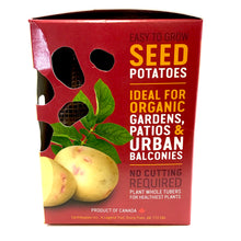 Load image into Gallery viewer, Seed Potato - Alaska Bloom, Earth Apples, 1kg Box - Floral Acres Greenhouse & Garden Centre