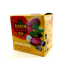 Load image into Gallery viewer, Seed Potato - Autumn Rose, Earth Apples, 1kg Box - Floral Acres Greenhouse & Garden Centre