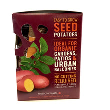 Load image into Gallery viewer, Seed Potato - Cerisa, Earth Apples, 1kg Box - Floral Acres Greenhouse & Garden Centre