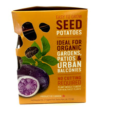 Load image into Gallery viewer, Seed Potato - Purple Magic, Earth Apples, 1kg Box - Floral Acres Greenhouse & Garden Centre
