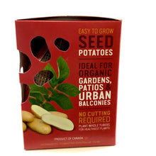 Load image into Gallery viewer, Seed Potato - Snow Finger, Earth Apples, 1kg Box - Floral Acres Greenhouse & Garden Centre