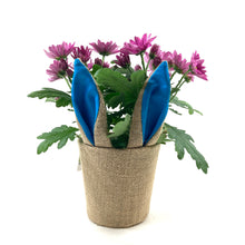 Load image into Gallery viewer, Pot Mum, 4in, Burlap Bunny Ears/Tail, Assorted - Floral Acres Greenhouse & Garden Centre