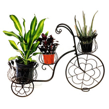 Load image into Gallery viewer, Metal 3-Tier Tricycle Plant Stand