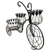 Load image into Gallery viewer, Metal 3-Tier Tricycle Plant Stand