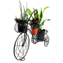 Load image into Gallery viewer, Metal 3-Tier Tricycle Plant Stand