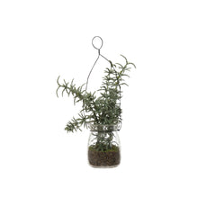 Load image into Gallery viewer, Faux Greenery in Jar Ornament, 8in, 4 Styles