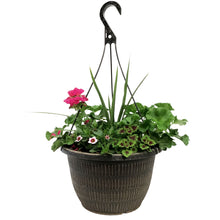 Load image into Gallery viewer, Hanging Basket, 12in, Spring Combo, Assorted