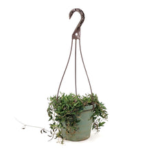 Load image into Gallery viewer, String of Spades/Arrows, 6.5in Hanging Basket