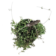 Load image into Gallery viewer, String of Spades/Arrows, 6.5in Hanging Basket