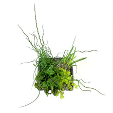 Load image into Gallery viewer, Aquabasket Planter, 8in, Hardy - Floral Acres Greenhouse & Garden Centre