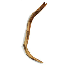 Load image into Gallery viewer, Manzanita Wood, for Nano Tanks, Up to 12in