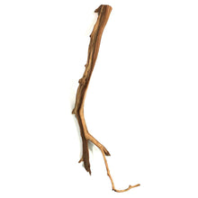 Load image into Gallery viewer, Manzanita Wood, for Nano Tanks, Up to 12in