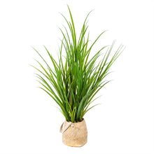 Load image into Gallery viewer, Artificial Plant in Pot, Onion Grass