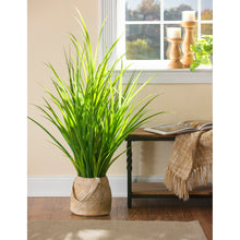 Load image into Gallery viewer, Artificial Plant in Pot, Onion Grass