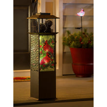 Load image into Gallery viewer, Solar Glass Panel Cardinal Outdoor Lantern
