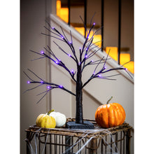 Load image into Gallery viewer, LED Halloween Glittered Tree, 19in