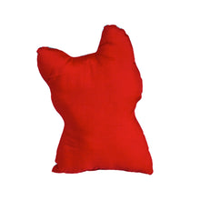 Load image into Gallery viewer, Mini Holiday Dog Pillow, 6 Styles